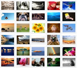 Featured photos