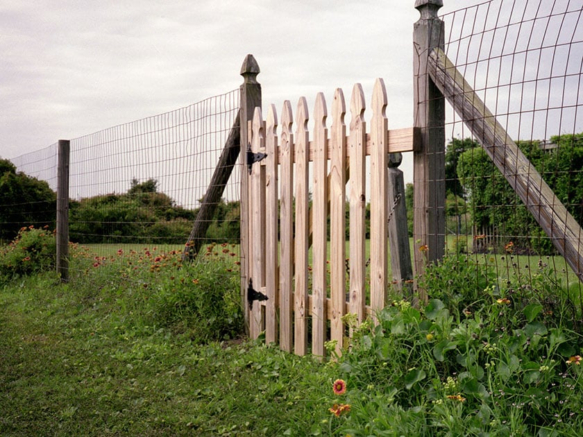 garden fence gate