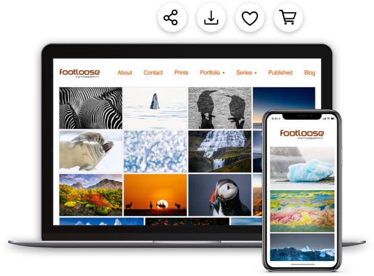client proofing online photo galleries