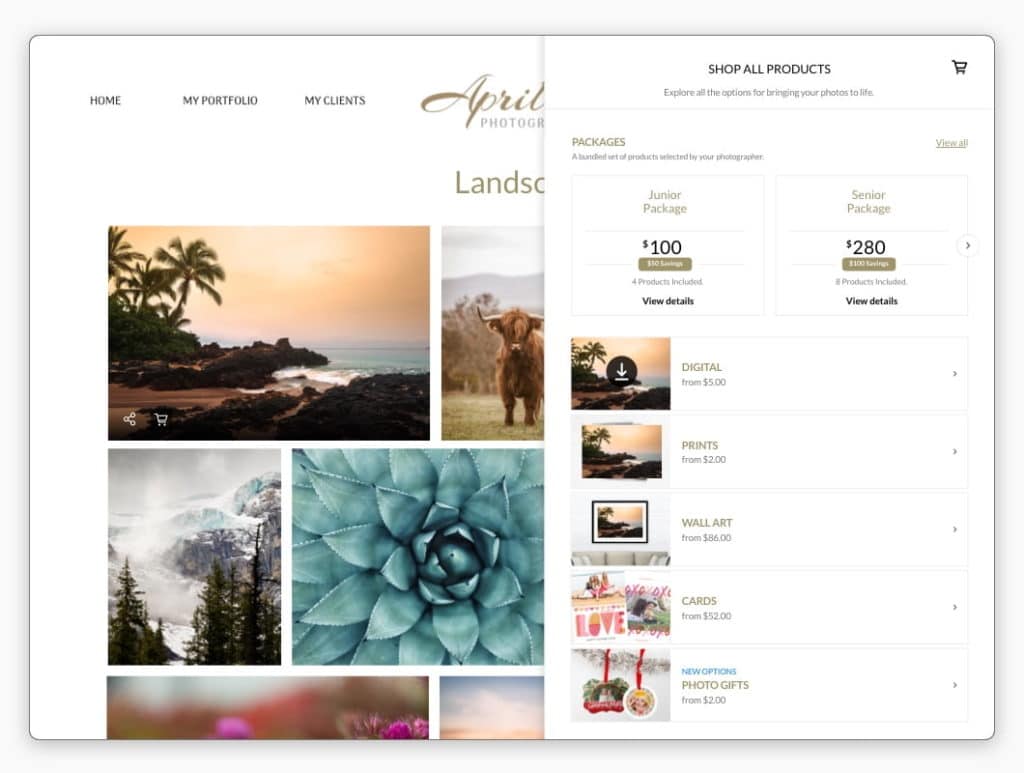 online photo gallery website