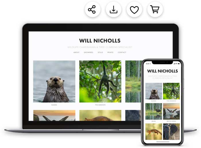 will nicholls online photo gallery client proofing