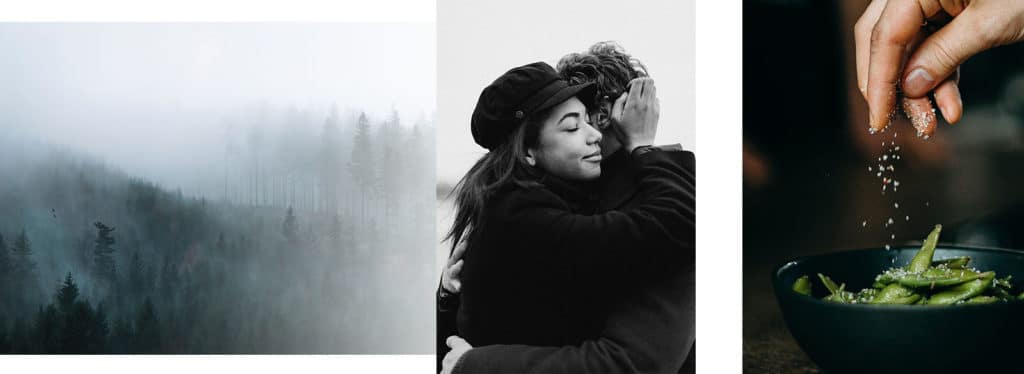 misty trees beside an embracing couple and food photography images