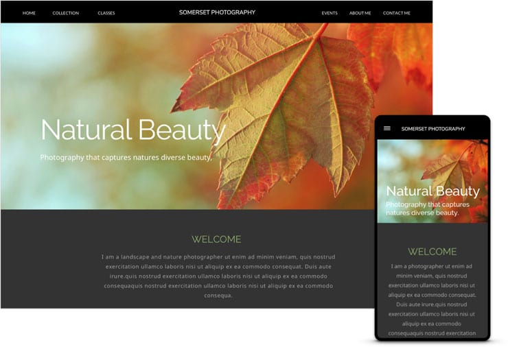 online photography website template somerset