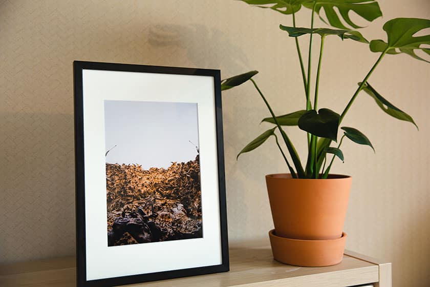 landscape photograph in frame beside potted plant