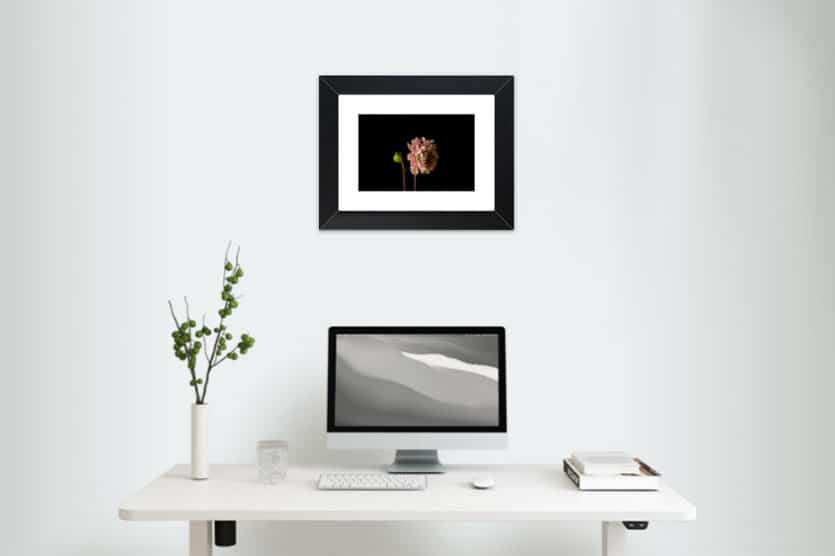 framed print of flower hanging on wall above computer desk