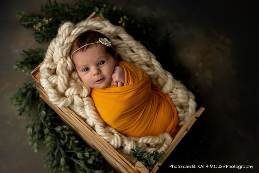 Tips and tricks to help you start a newborn photography business.
