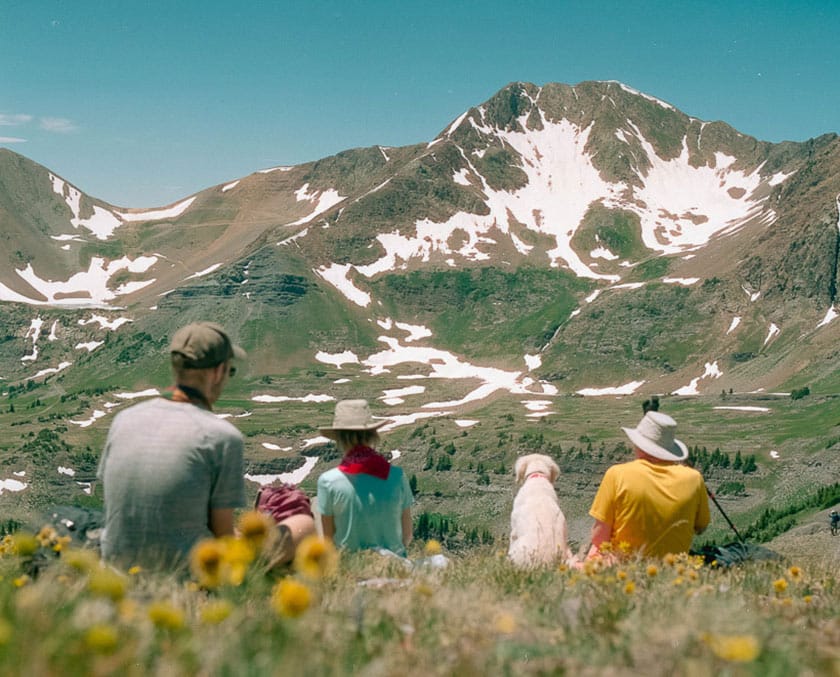 three people and a dog seated on a hill of wildflowers, a green valley and snow-dusted mountain in the distance