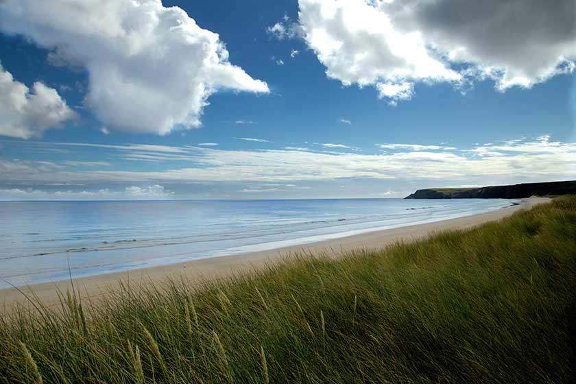 ocean beach landscape framed by sea grass and white clouds