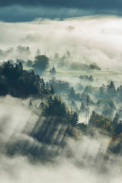 field and trees partially obscured by fog