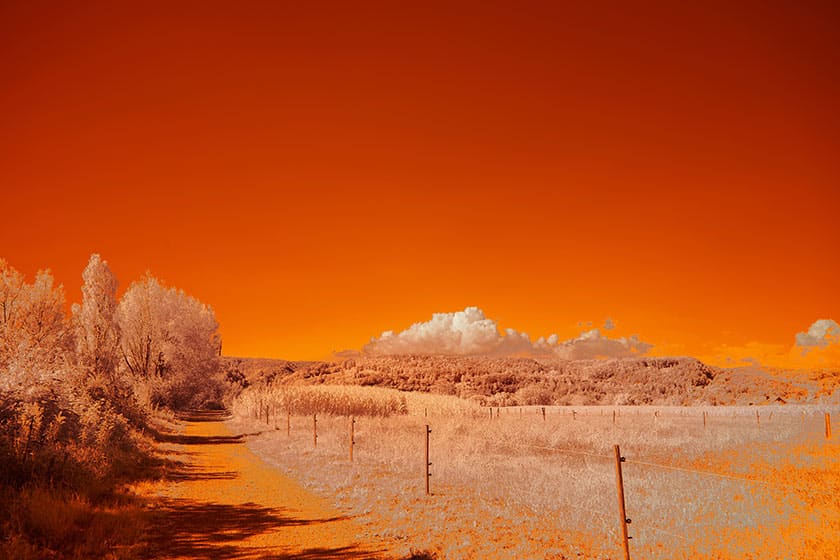 orange-red infrared landscape of a dirt road edged with fields and fences