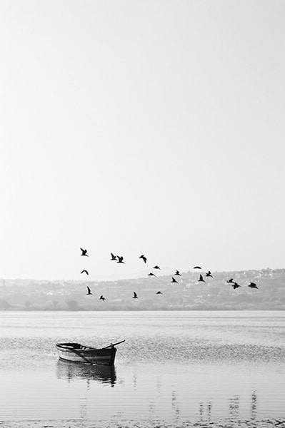 black and white landscape of boat on the water with birds flying overhead