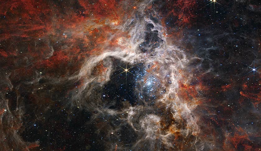 image of the Tarantula Nebula photographed by the JWST NIRCam