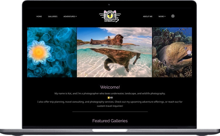 KatSnaps by Kat Zhou Wildlife and Underwater portfolio website