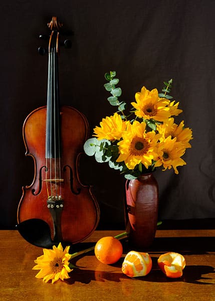 violin, flowers and fruits in a still life image