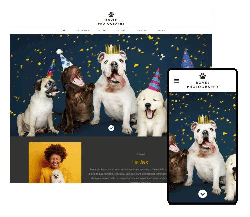 Discover pet website template online photography portfolio online photography portfolio