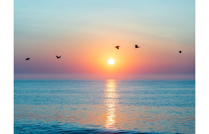 image of five pelicans flying over the ocean at sunrise photographed by Julie Danan
