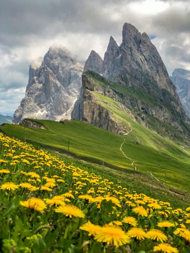 Funchetta -mountain peaks with green field and dandelions