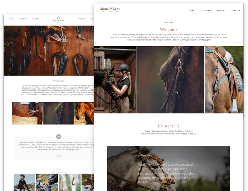 equine photography website template examples