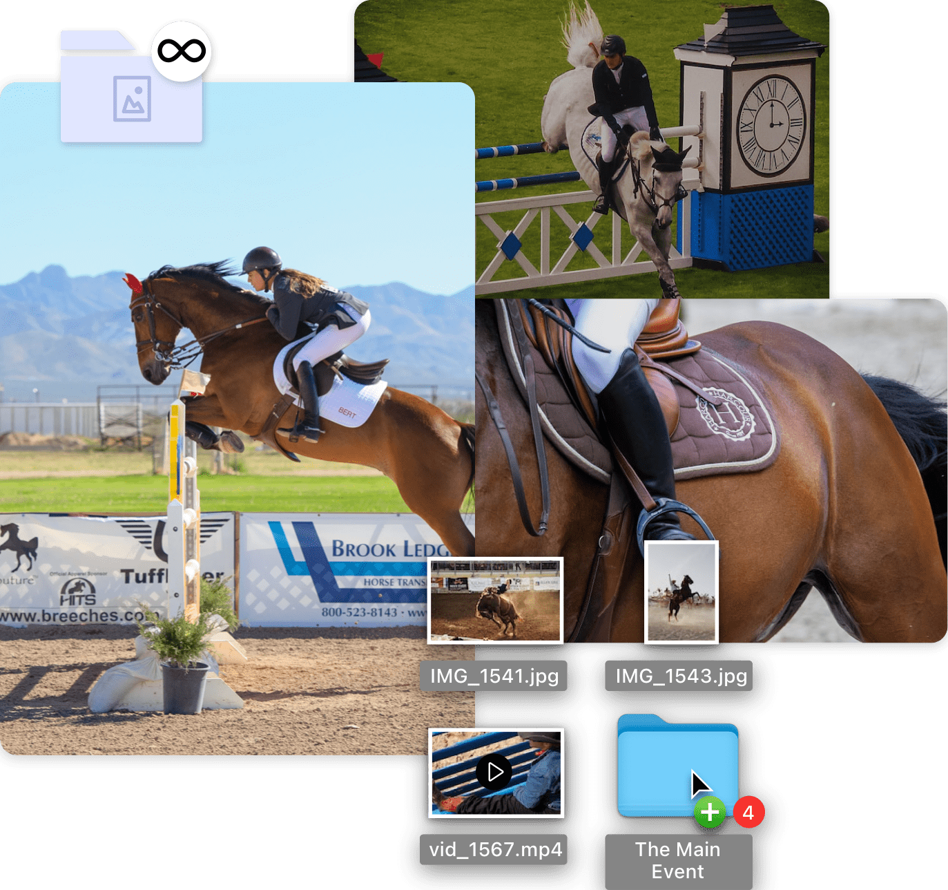 Equestrian Photography Showcase & Sell with Zenfolio