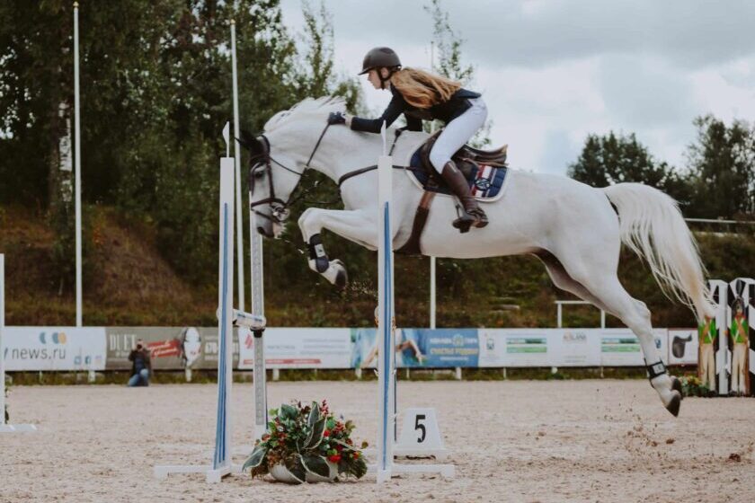 horse jumping over standards at dressage event