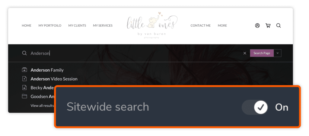 Website Search 1140