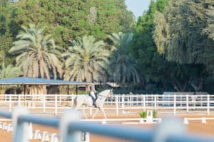 Tips and Techniques for Equestrian Portraits, Dressage, Show Jumping, and Horse Racing Photography