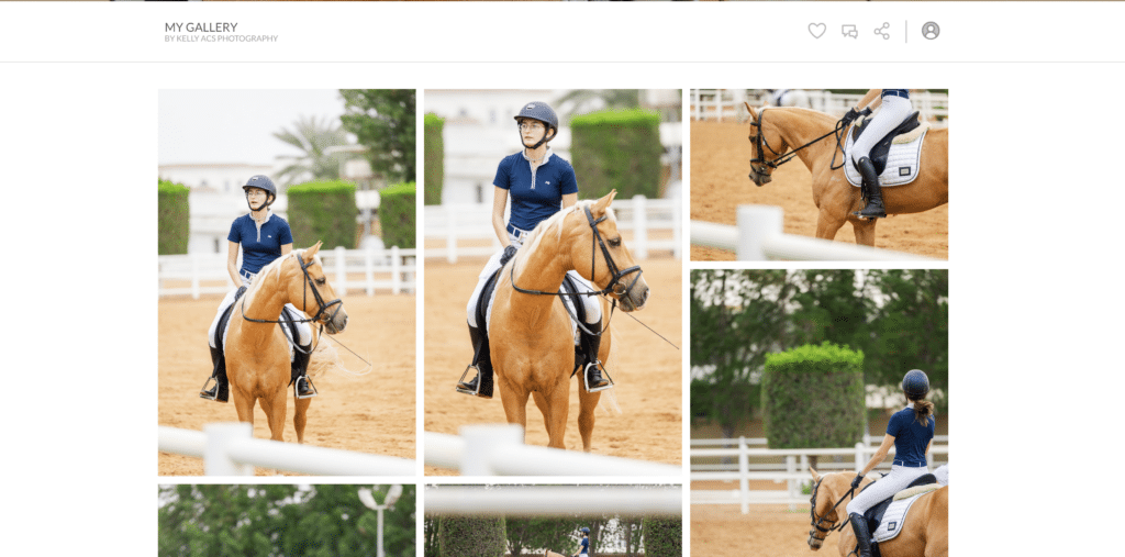 Tips and Techniques for Equestrian Portraits, Dressage, Show Jumping, and Horse Racing Photography