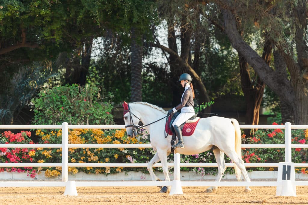 Tips and Techniques for Equestrian Portraits, Dressage, Show Jumping, and Horse Racing Photography