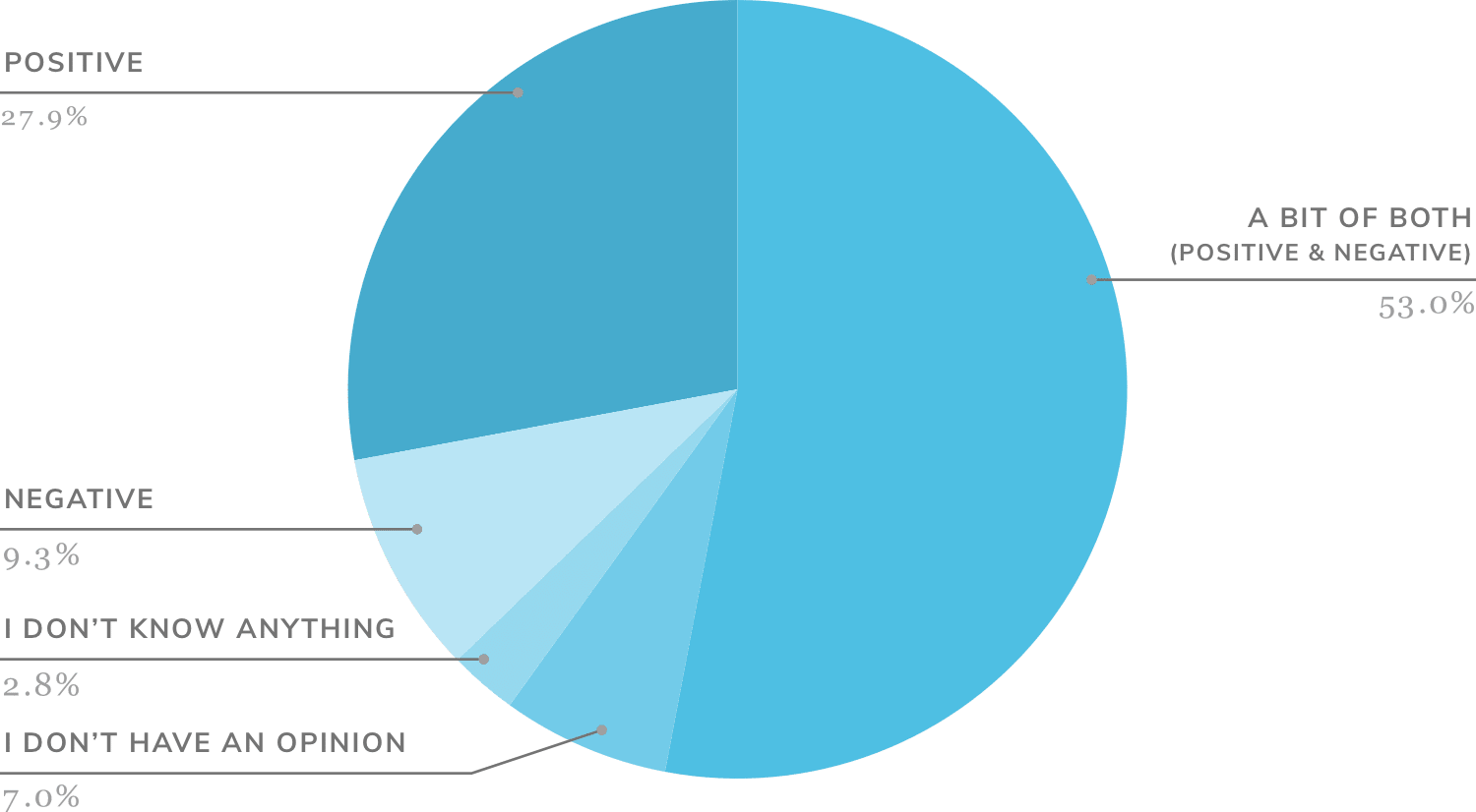 pie chart showing percentages about How photographers view AI: a bit of both (positive and negative), positive, I don't have an opinion, i don't know anything, negative.
