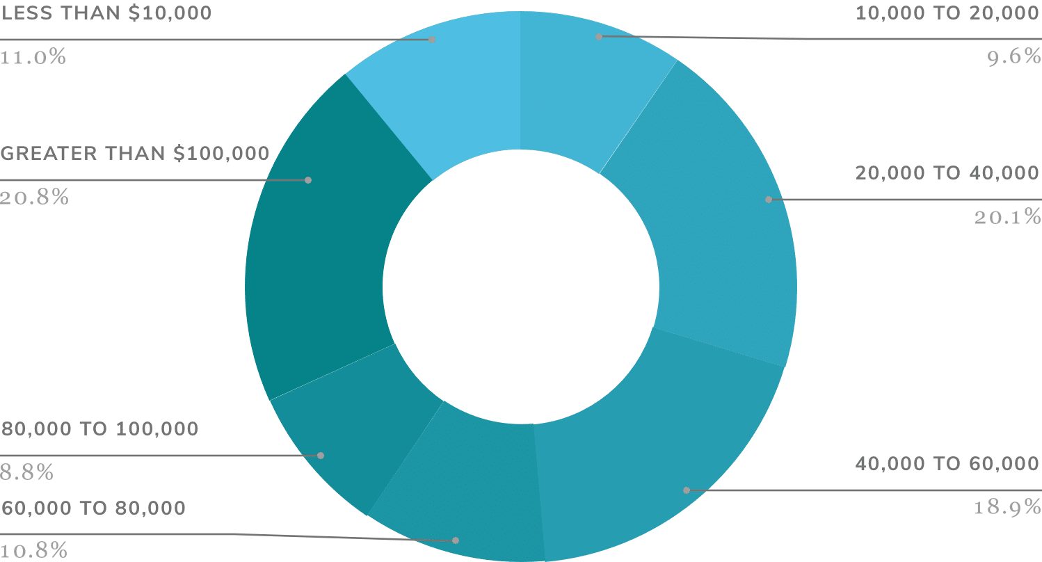 circle chart showing percentages of money made for photographers with a full time income