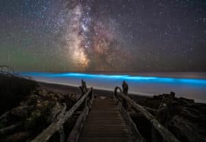 Bioluminescence in Washington Mathew Nichols Photography