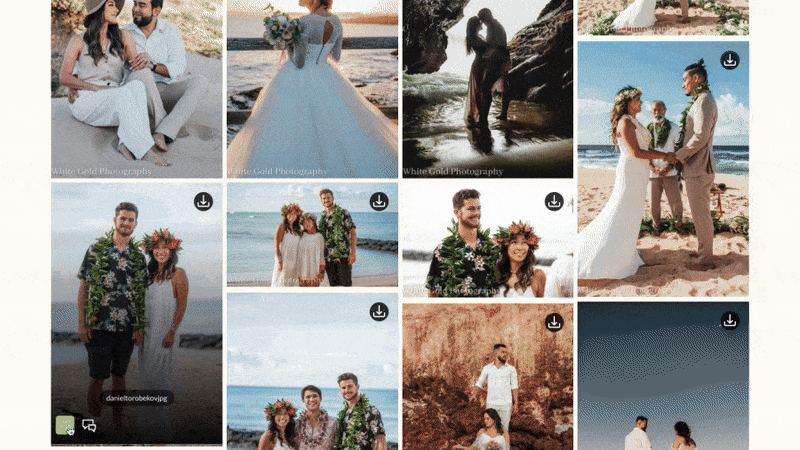 Favorites Client1 ezgif.com video to gif converter