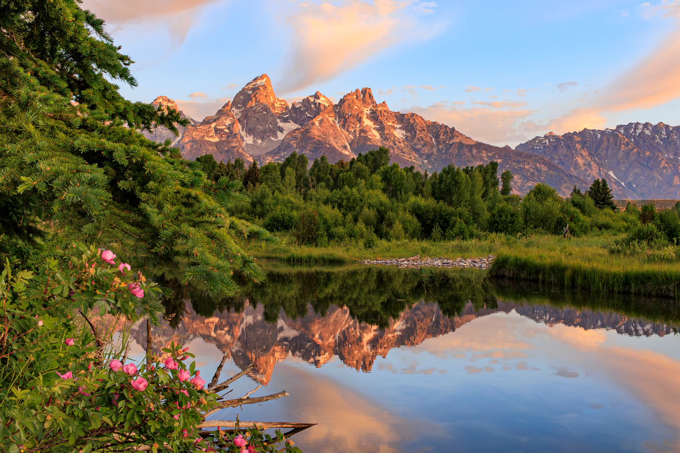 A scenic landscape features the Grand Teton mountain range reflected in a calm body of water, framed by lush greenery and pink wildflowers in the foreground. The mountains are bathed in the warm light of the setting sun, creating a serene and picturesque view. Photo by Susan Winfree.