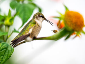 15 landscape and nature photos to inspire you: World Photography Day 2025 showcase.