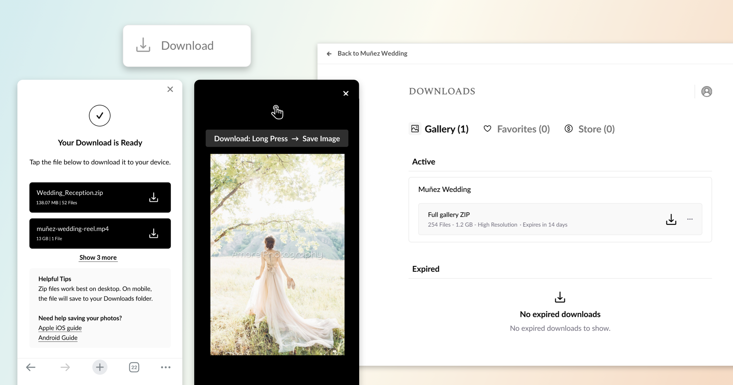 Gallery Download Improvements for Zenfolio