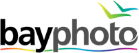 The bayphoto logo features the lowercase text bay in black and photo in dark gray, underlined by a thin rainbow-colored wave and accompanied by two stylized, colorful birds flying above the letter o.