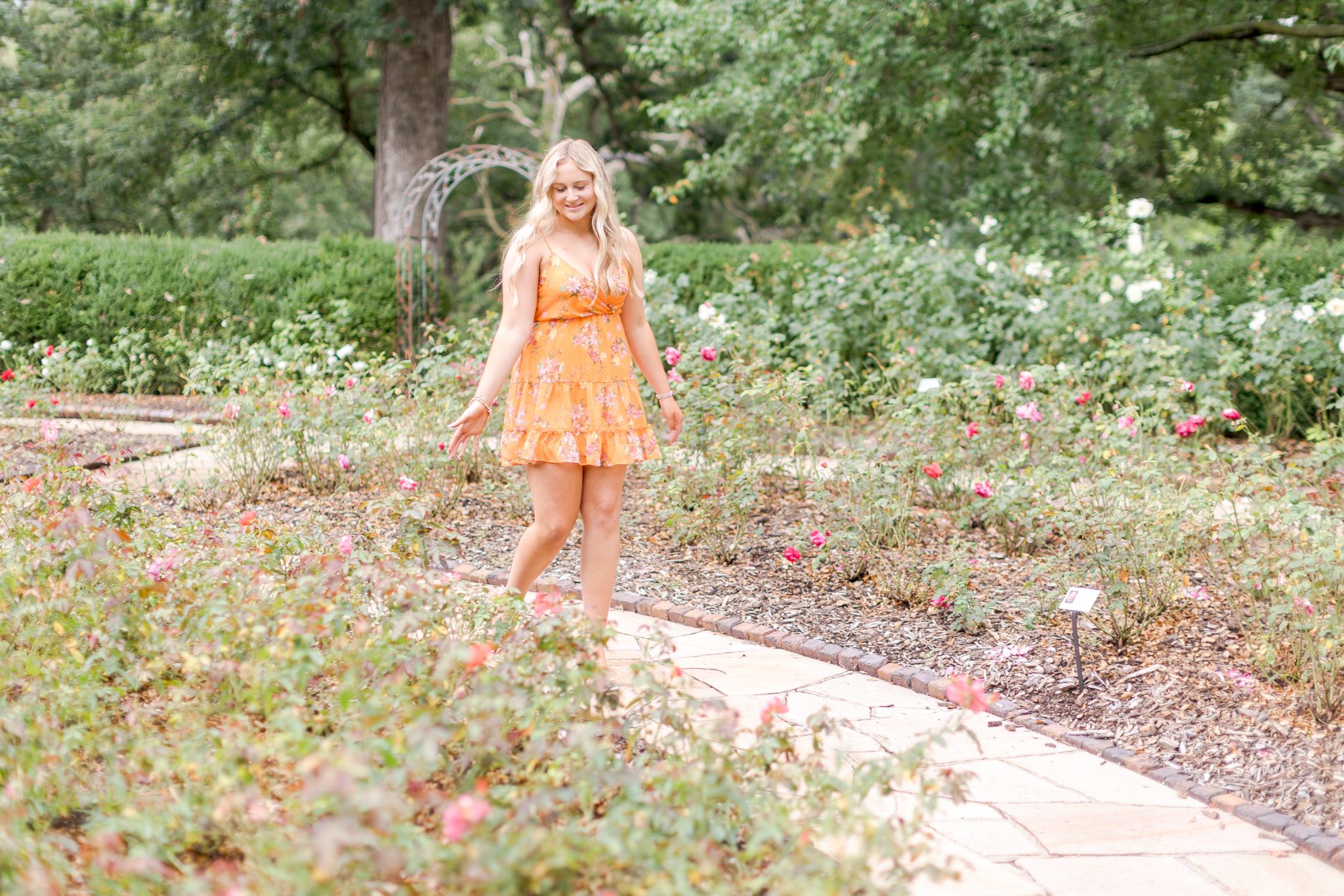 Blonde woman wearing an orange floral dress among blooming roses in a garden