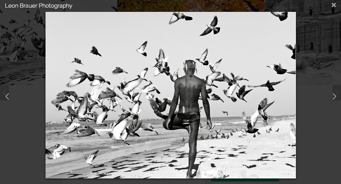 man standing on one leg on a beach surrounded by birds