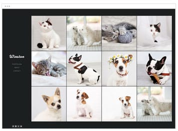 Winston Photography website template